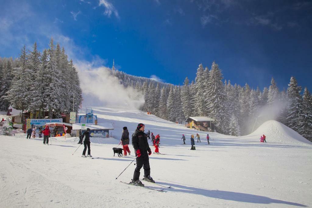Viva Flora Apartment 607A Borovets Esterno foto
